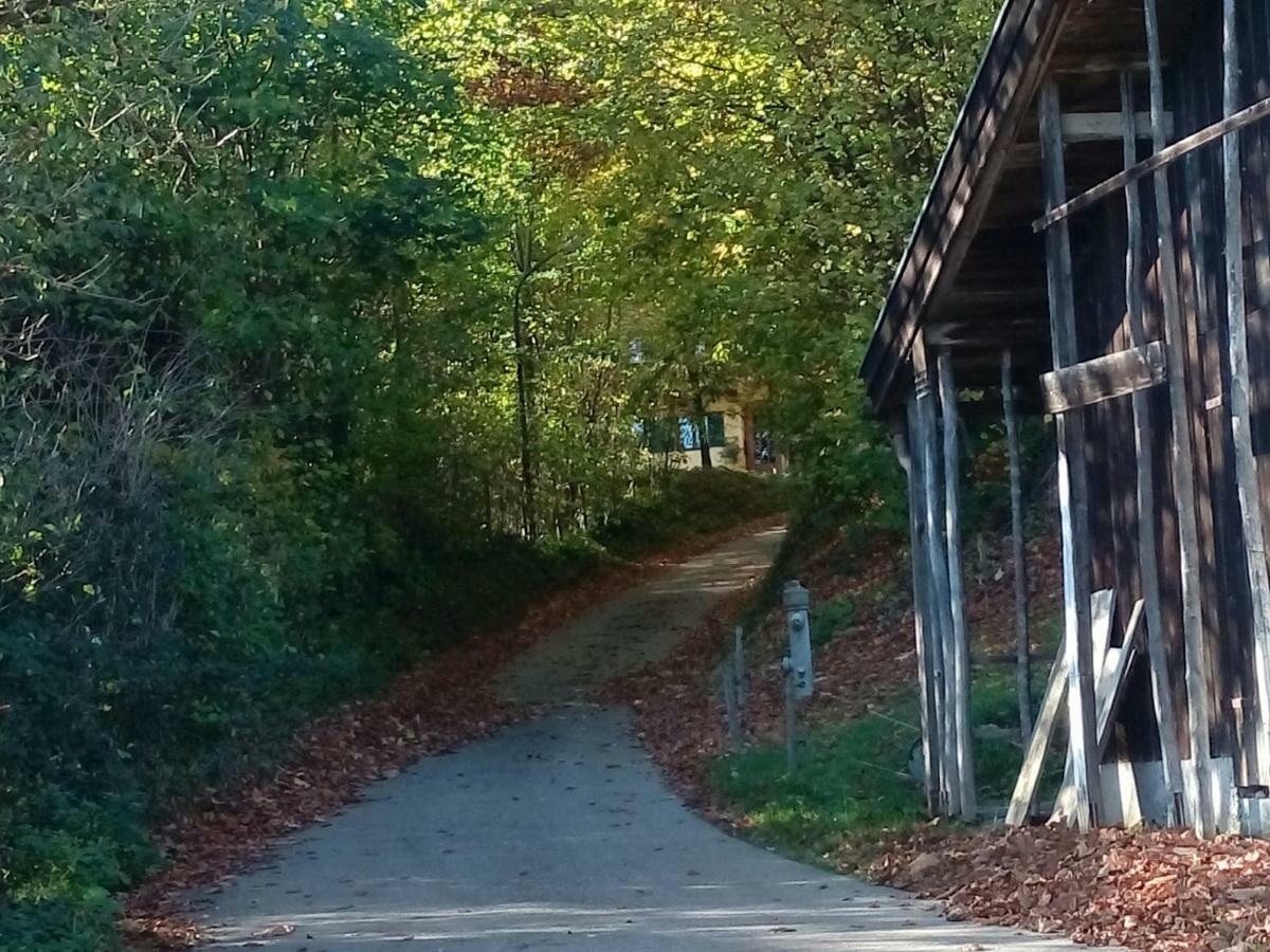 Das Hauslhaus Übersee Exterior foto